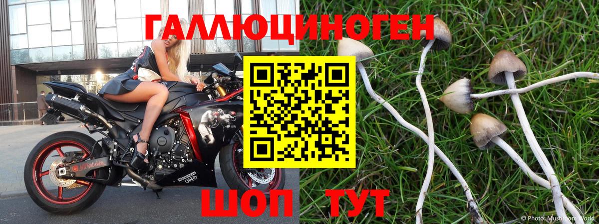 Псилоцибиновые грибы ЛСД Каспийск