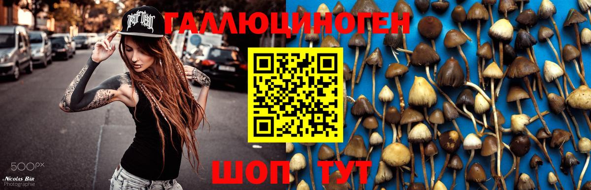 Галлюциногенные грибы Psilocybine cubensis  Вход с VPN  Каспийск 